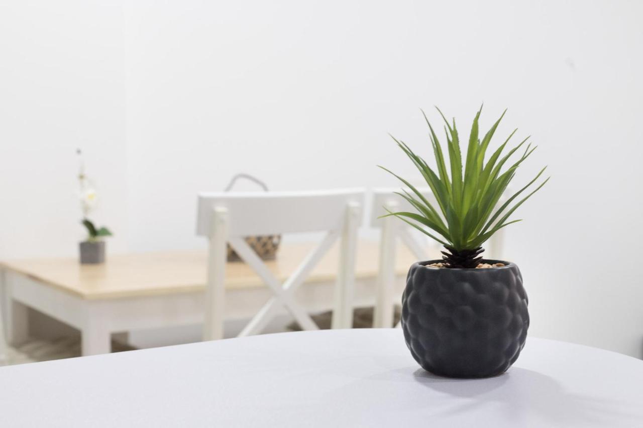 Moonkey - Apartamento Amaralba A Alicante Esterno foto